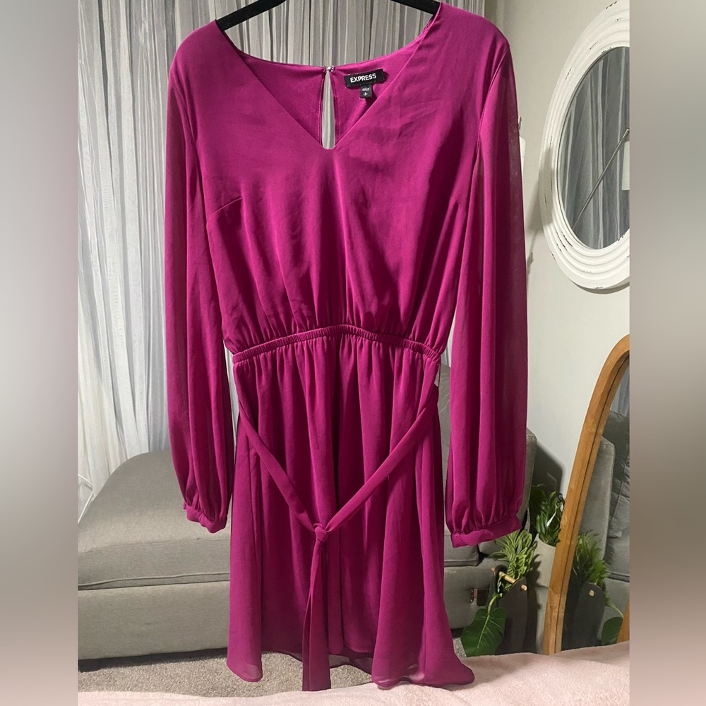 EXPRESS Long sleeve plum/purple dress
